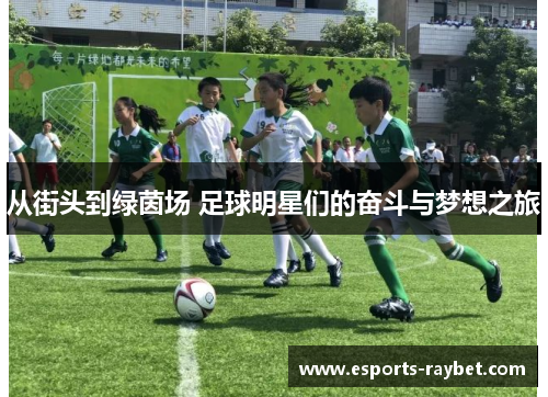 从街头到绿茵场 足球明星们的奋斗与梦想之旅